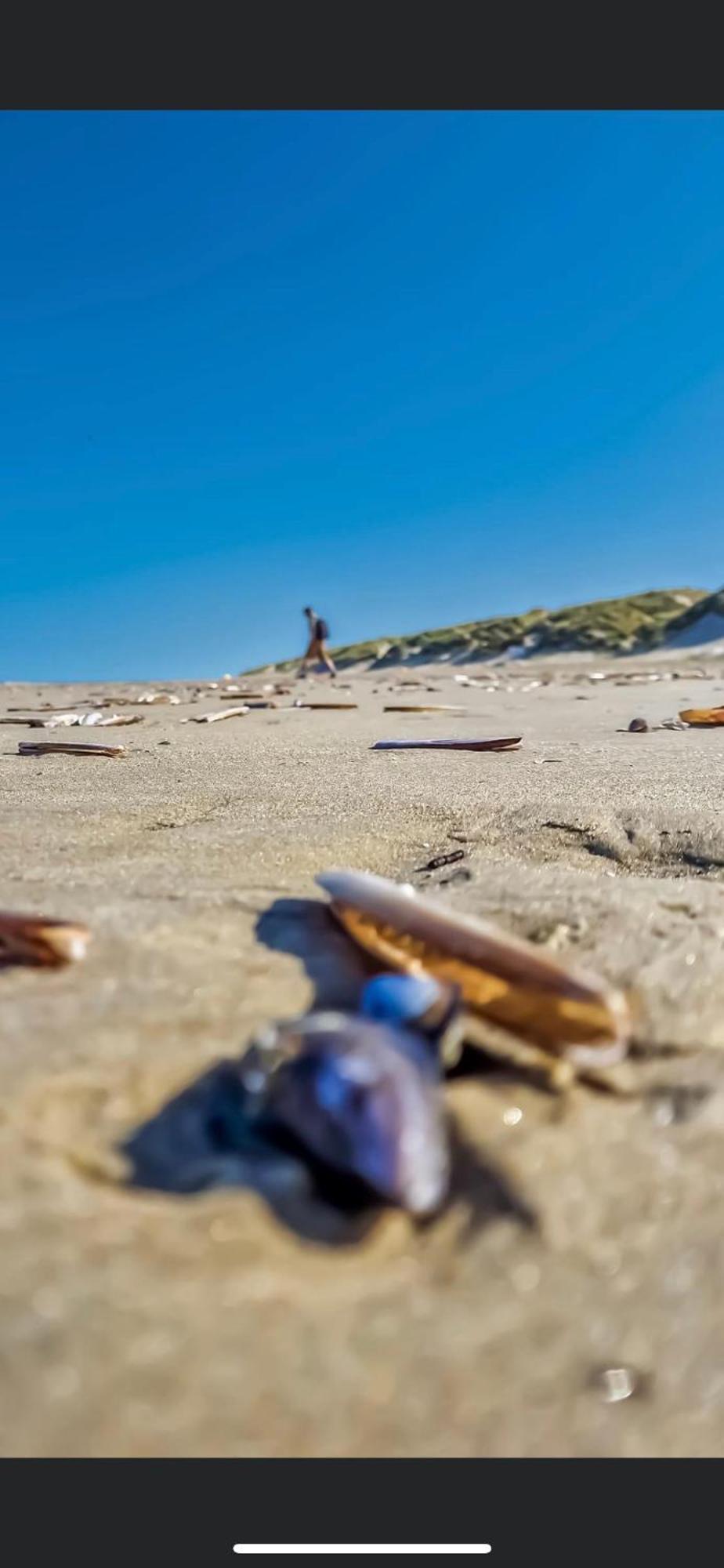 La Margaret Face Mer Équihen-Plage Kültér fotó